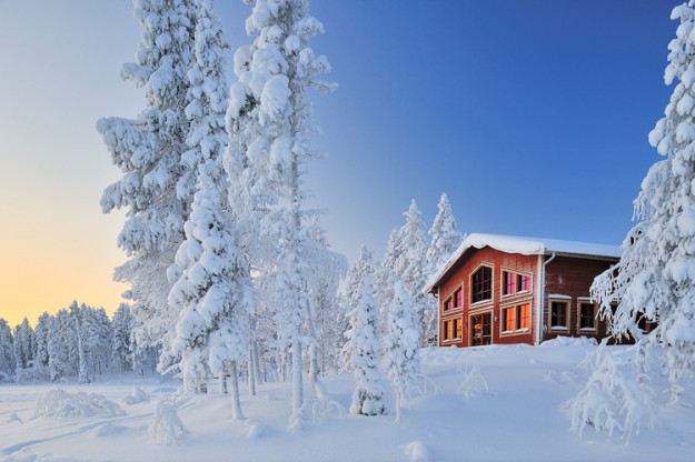 Dog Sledding in Swedish Lapland. - Scandinavia, Sweden